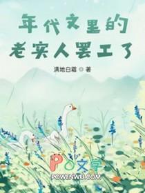 年代文里的老来女